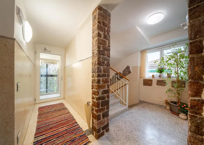 Gardar Fox 博尔扎诺